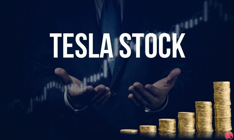 How to own Elon Musk’s Tesla stock in 2023 (An Easy Guide)